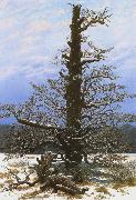 Caspar David Friedrich Oak Tree in the Snow (mk10) china oil painting reproduction